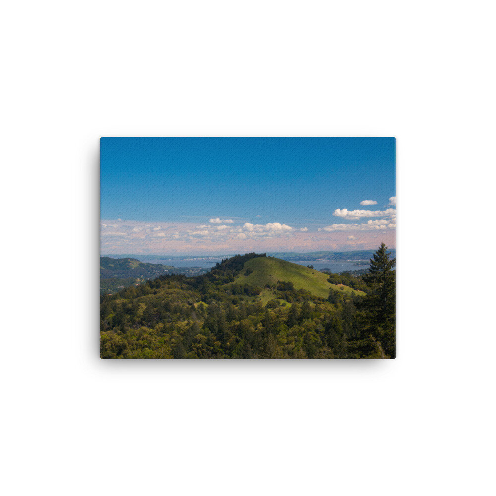 canvas-(in)-12x16-wall-60dd5481c2e13.jpg