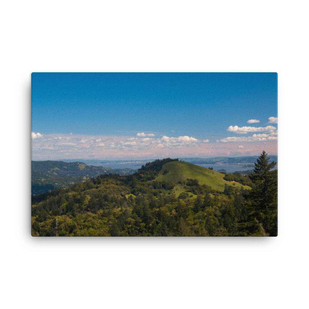 canvas-(in)-24x36-wall-60dd5481c2ec4.jpg