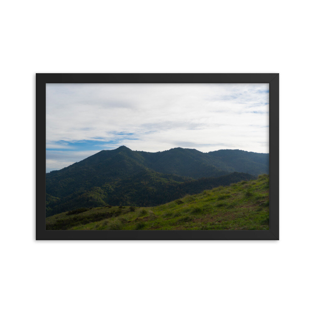 enhanced-matte-paper-framed-poster-(in)-black-12x18-transparent-60dd60ad0449b.jpg