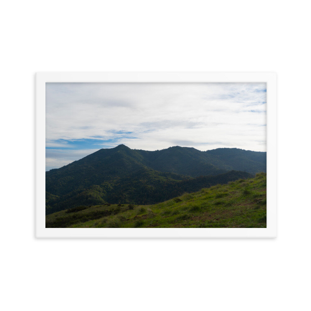 enhanced-matte-paper-framed-poster-(in)-white-12x18-transparent-60dd60ad04a8f.jpg