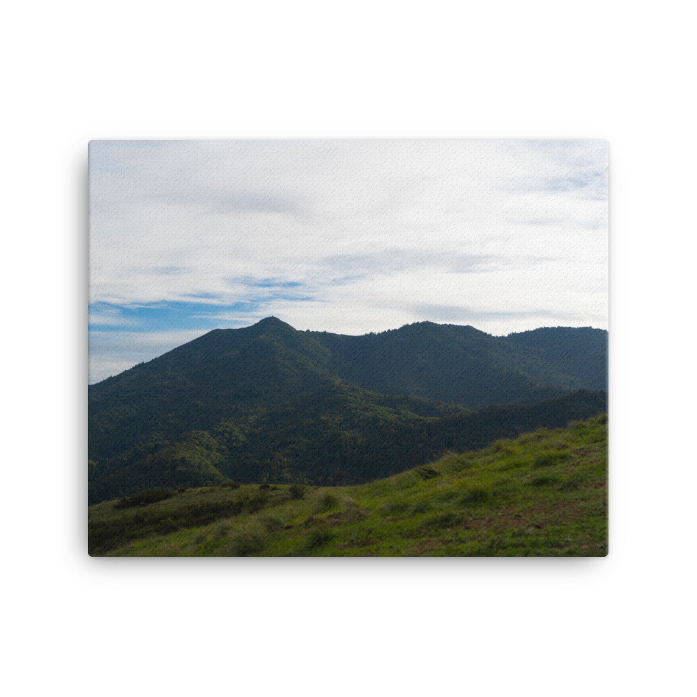 canvas-(in)-16x20-wall-60dd60ec1a58a.jpg