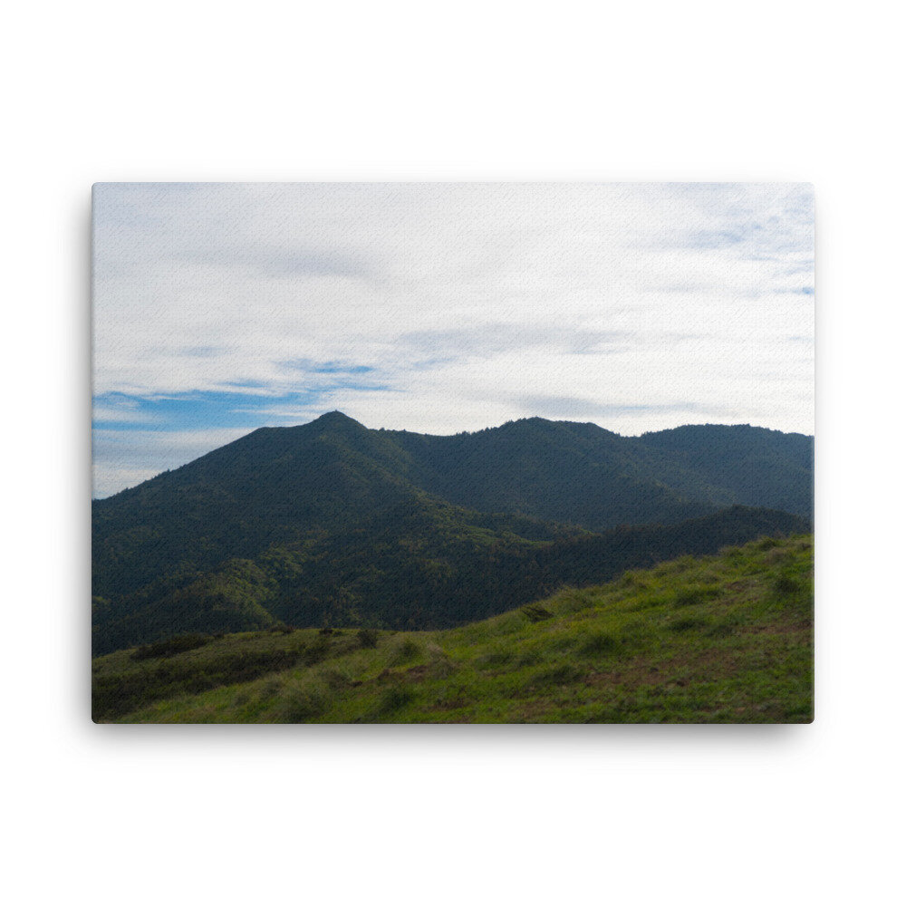 canvas-(in)-18x24-wall-60dd60ec1a5d7.jpg