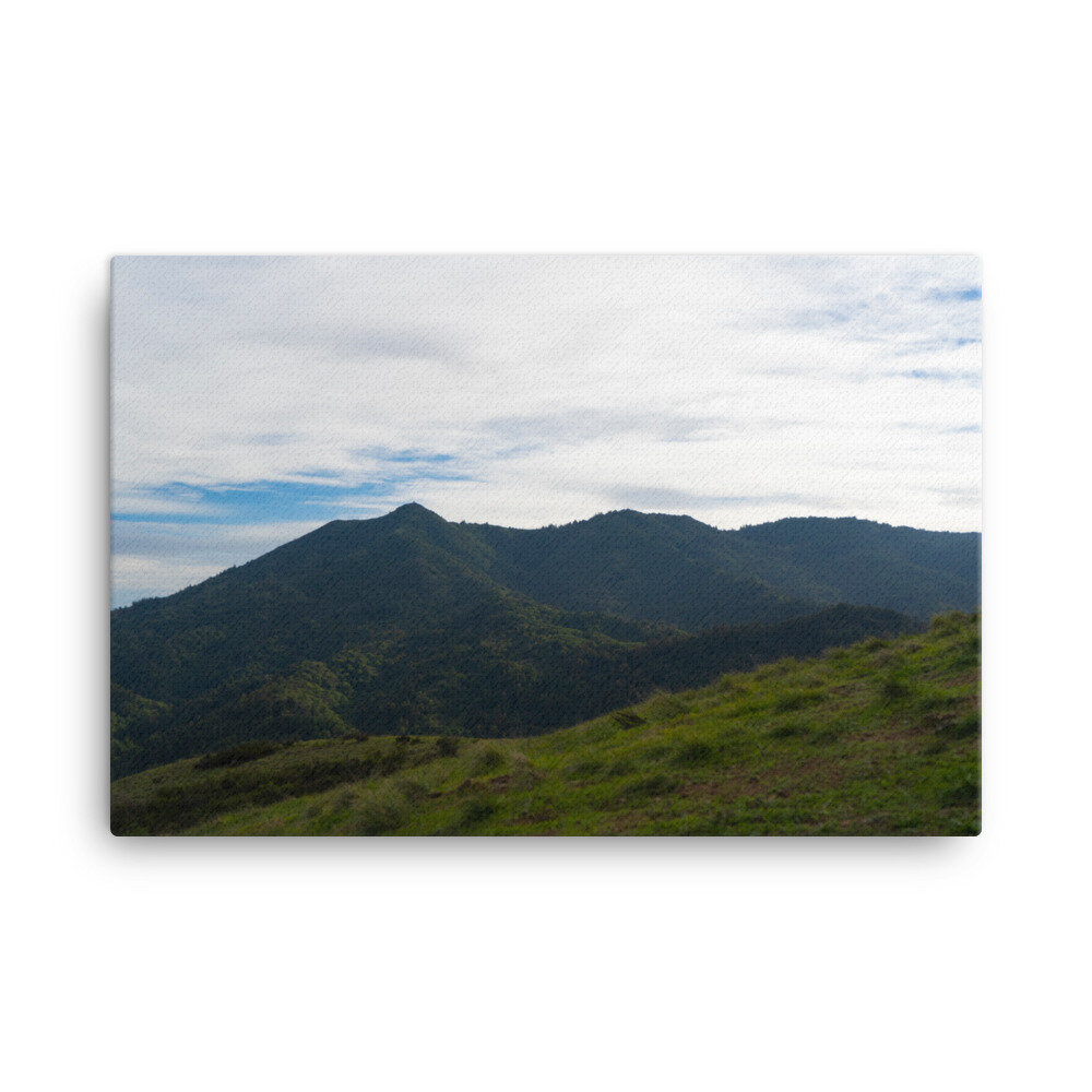 canvas-(in)-24x36-wall-60dd60ec1a61f.jpg