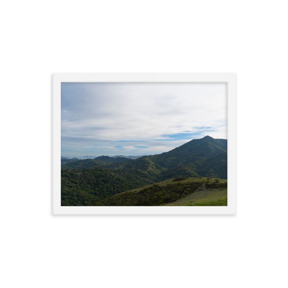 enhanced-matte-paper-framed-poster-(in)-white-12x16-transparent-60dd666cc41a3.jpg