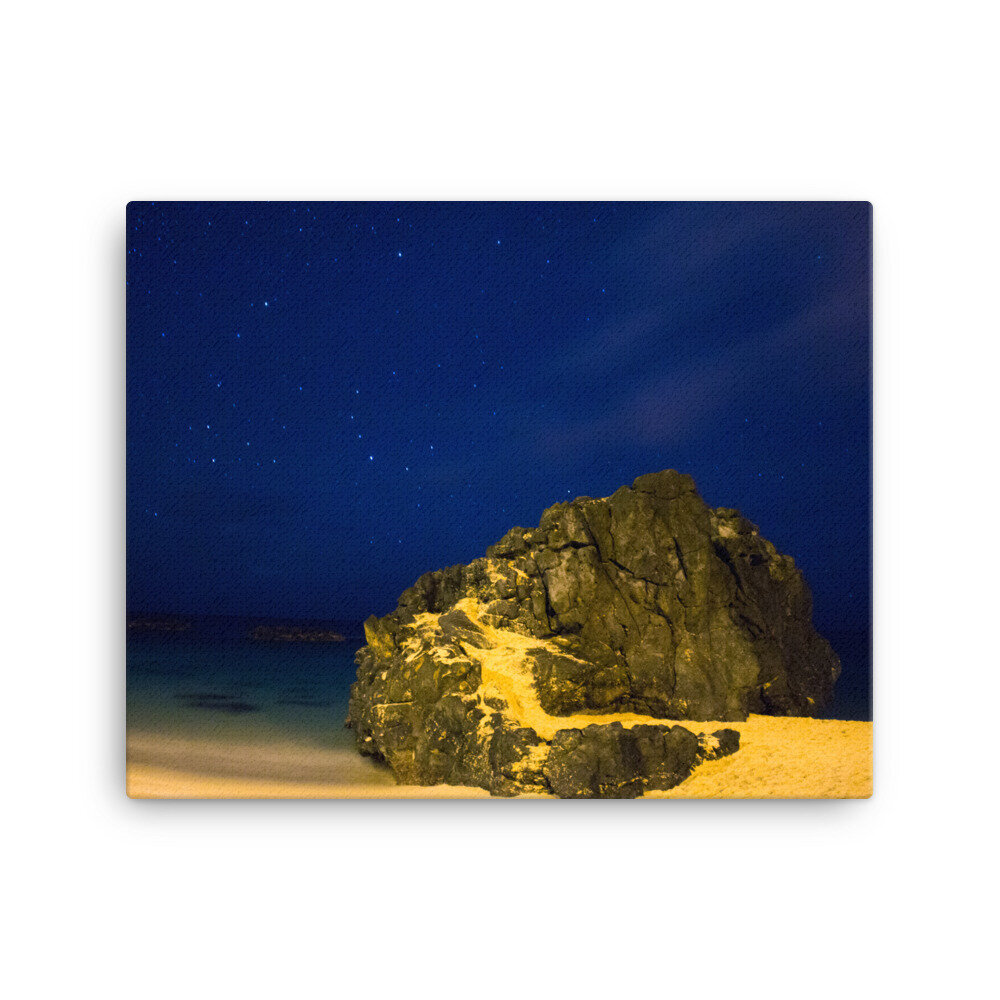 canvas-(in)-16x20-wall-60dd6f8d7b09d.jpg