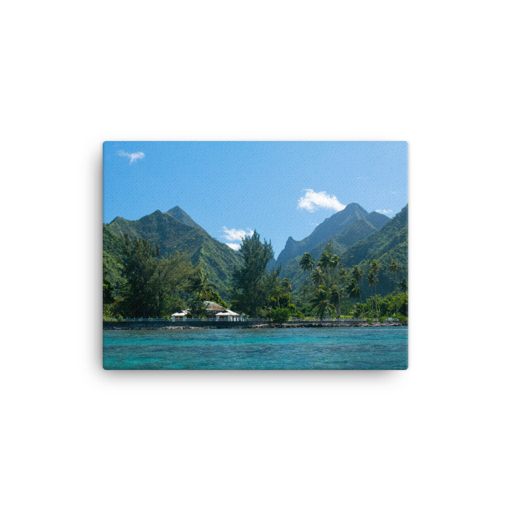 canvas-(in)-12x16-wall-60dfbedb49b2a.jpg