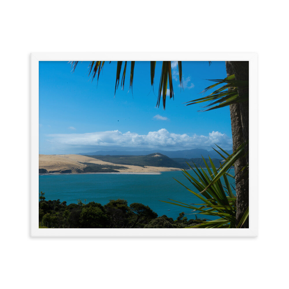 enhanced-matte-paper-framed-poster-(in)-white-16x20-transparent-60e8c9948a4a5.jpg