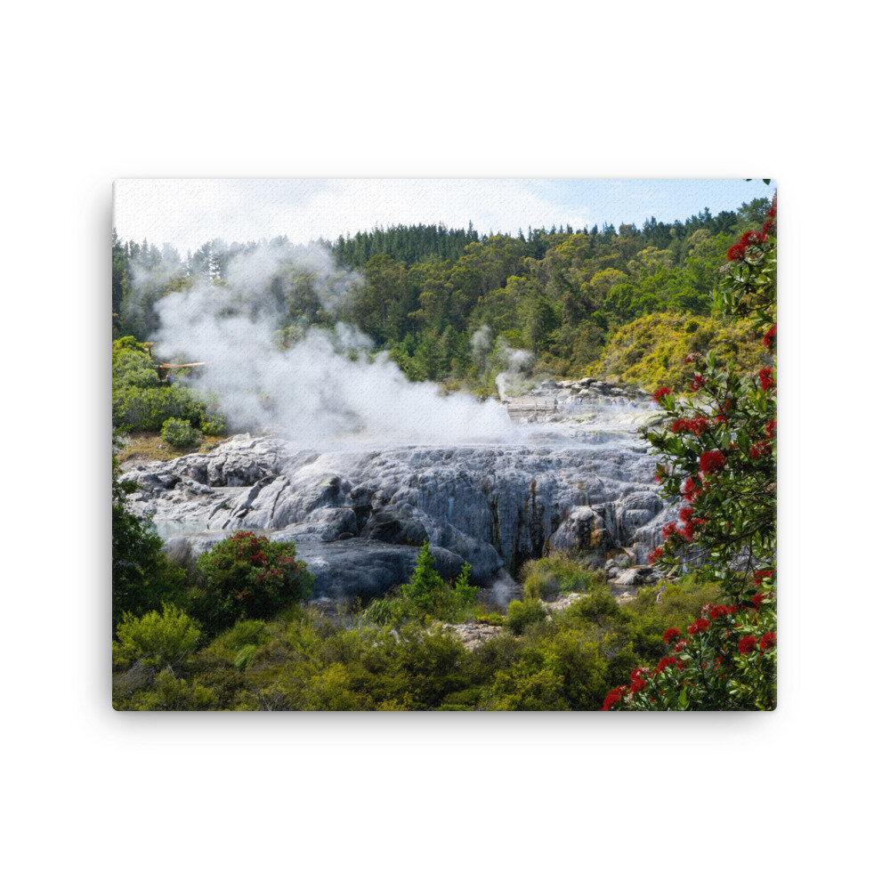 canvas-(in)-16x20-wall-60e8cd7ac05dd.jpg