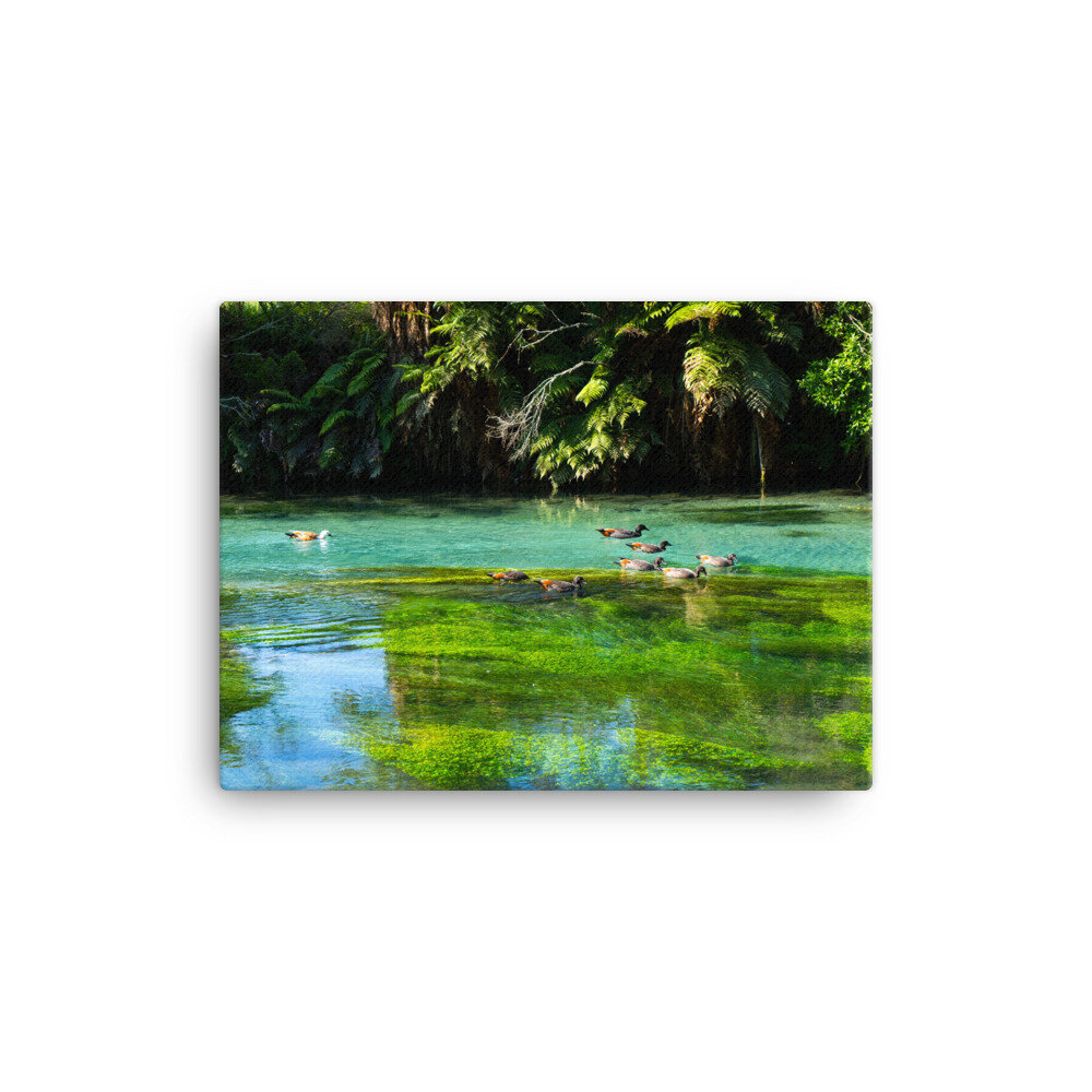 canvas-(in)-12x16-wall-60ebd8ac8dce3.jpg