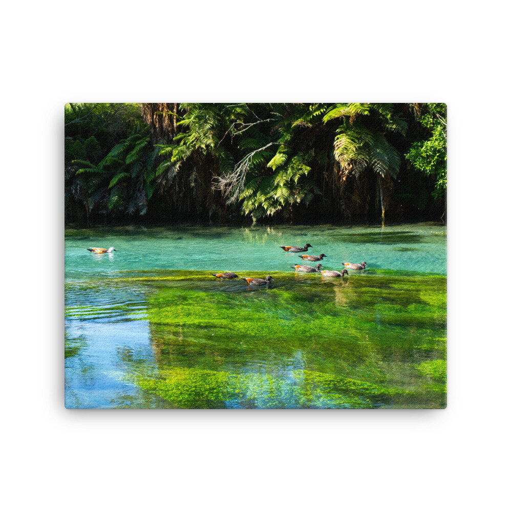 canvas-(in)-16x20-wall-60ebd8ac8dd8d.jpg