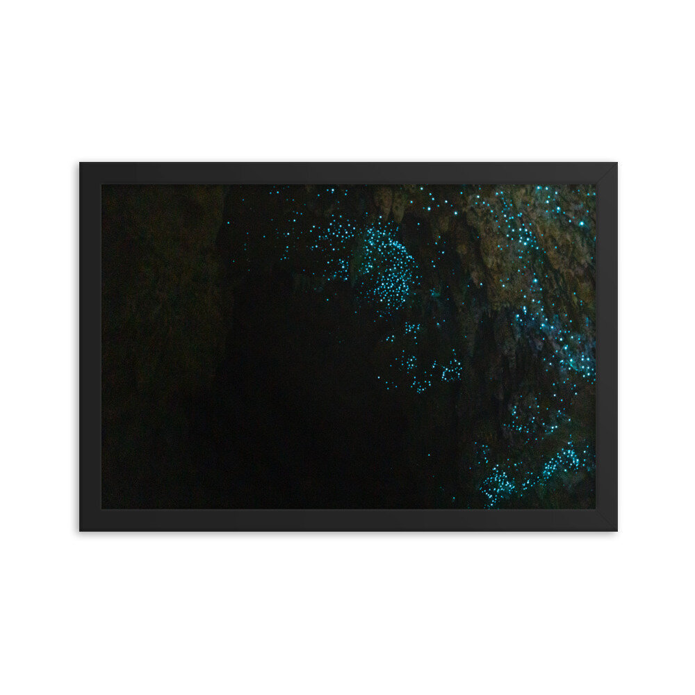 enhanced-matte-paper-framed-poster-(in)-black-12x18-transparent-60ebe0b850dd6.jpg
