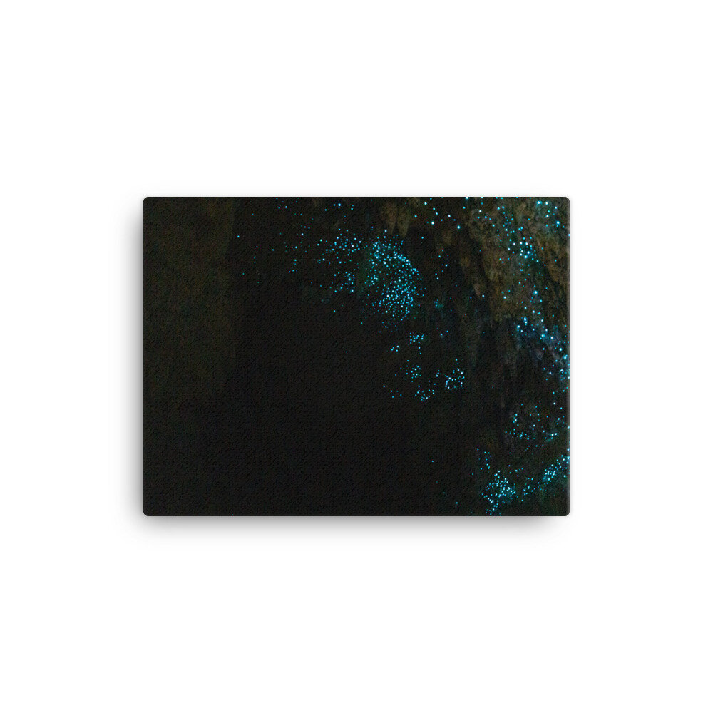 canvas-(in)-12x16-wall-60ebe0f58c2ae.jpg