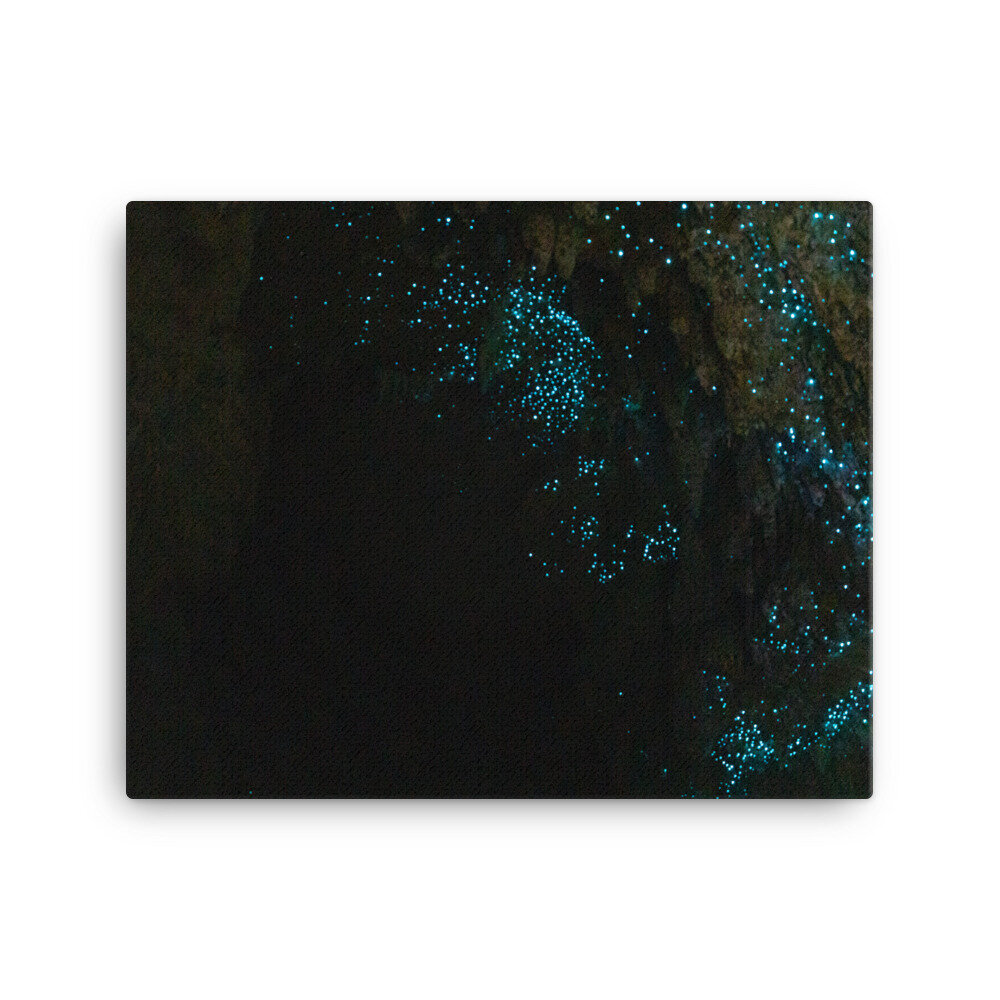 canvas-(in)-16x20-wall-60ebe0f58c322.jpg