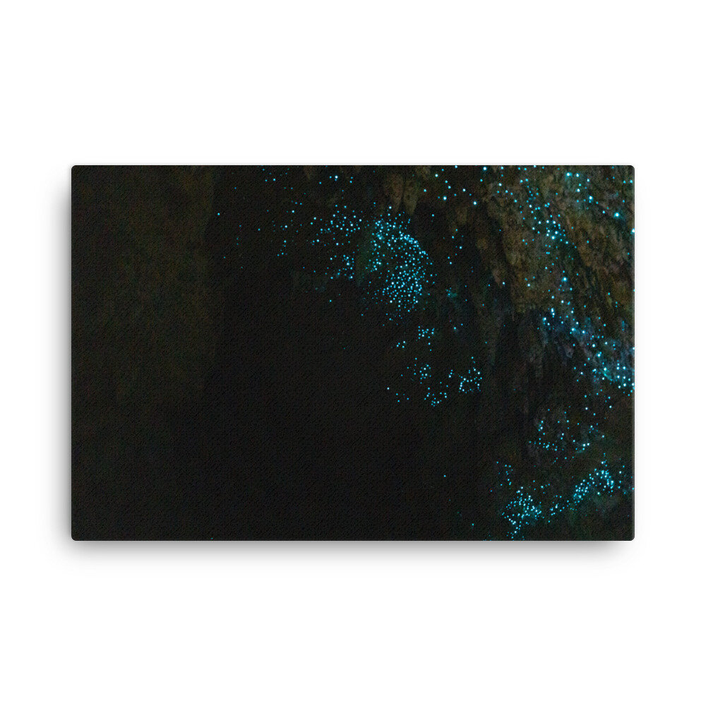 canvas-(in)-24x36-wall-60ebe0f58c3d9.jpg