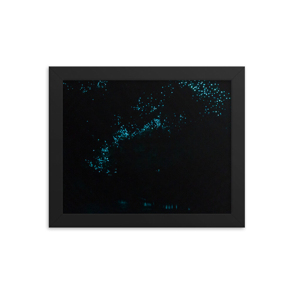 enhanced-matte-paper-framed-poster-(in)-black-8x10-transparent-60ebe1ae63429.jpg