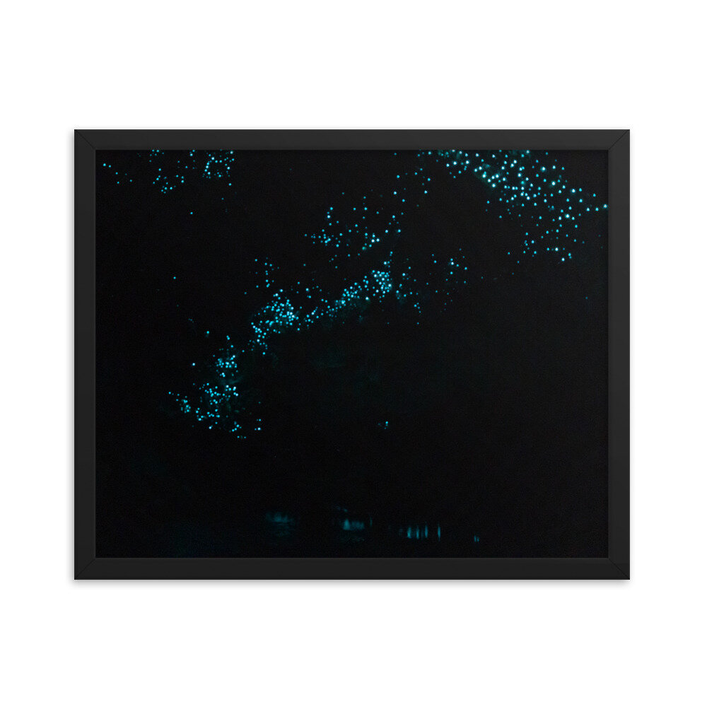 enhanced-matte-paper-framed-poster-(in)-black-16x20-transparent-60ebe1ae6359a.jpg