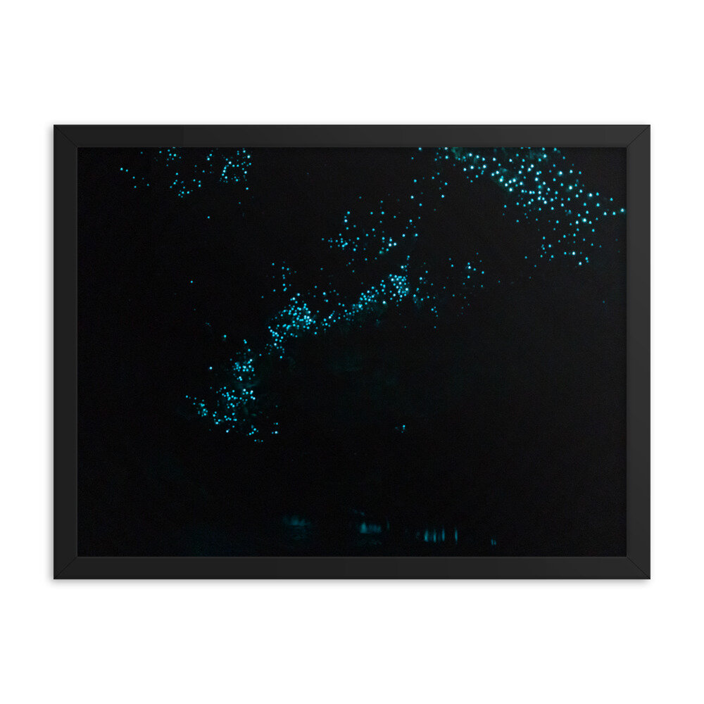 enhanced-matte-paper-framed-poster-(in)-black-18x24-transparent-60ebe1ae63618.jpg