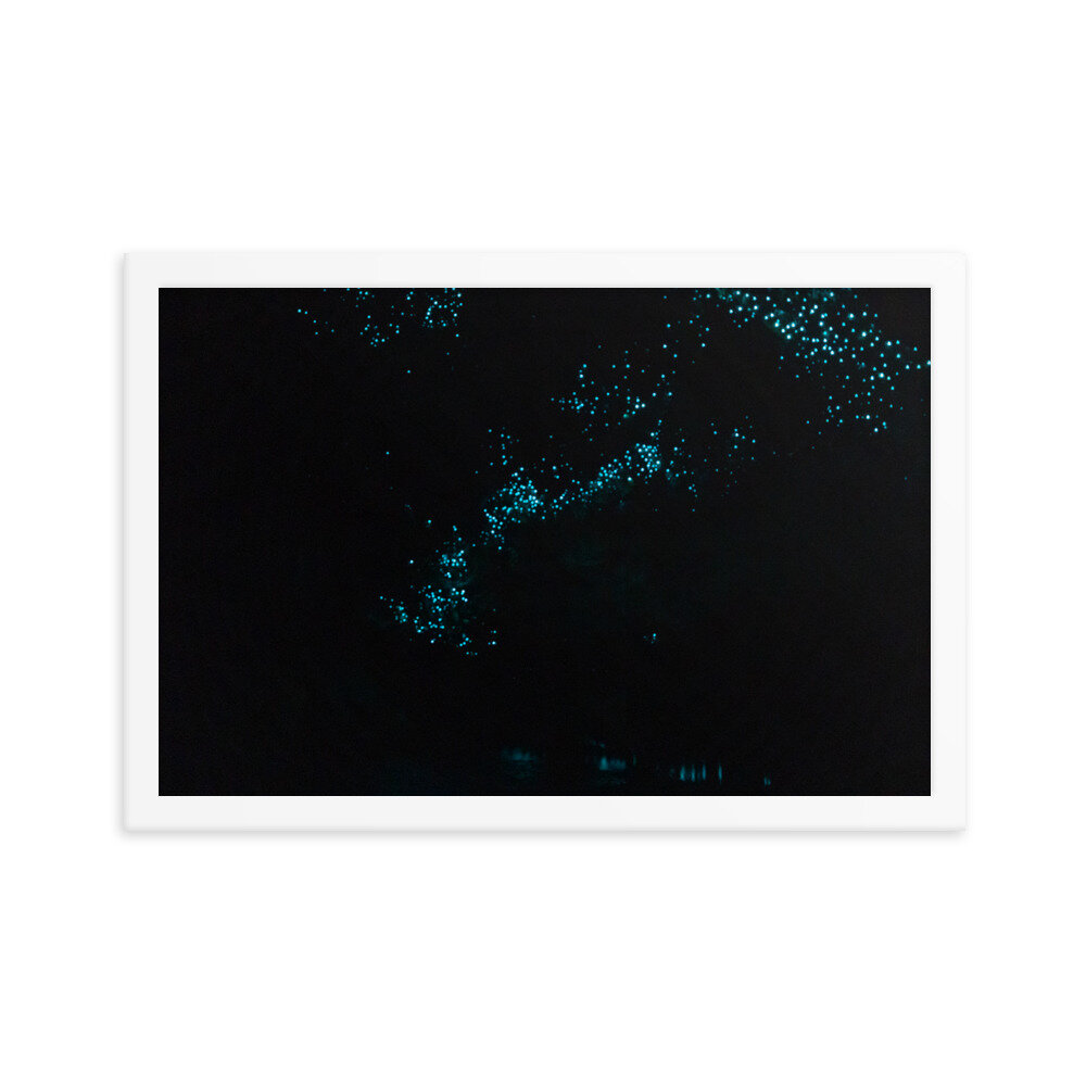 enhanced-matte-paper-framed-poster-(in)-white-12x18-transparent-60ebe1ae63797.jpg