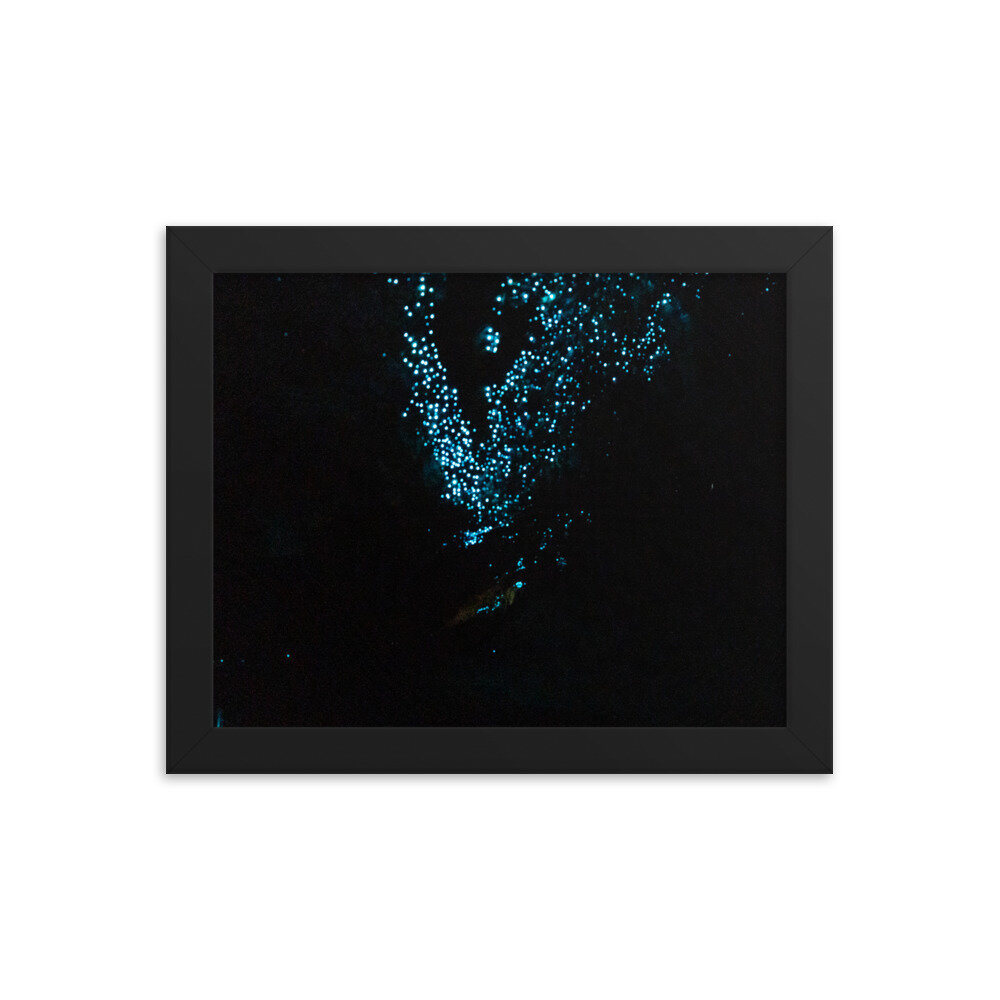 enhanced-matte-paper-framed-poster-(in)-black-8x10-transparent-60ebe294c4b39.jpg