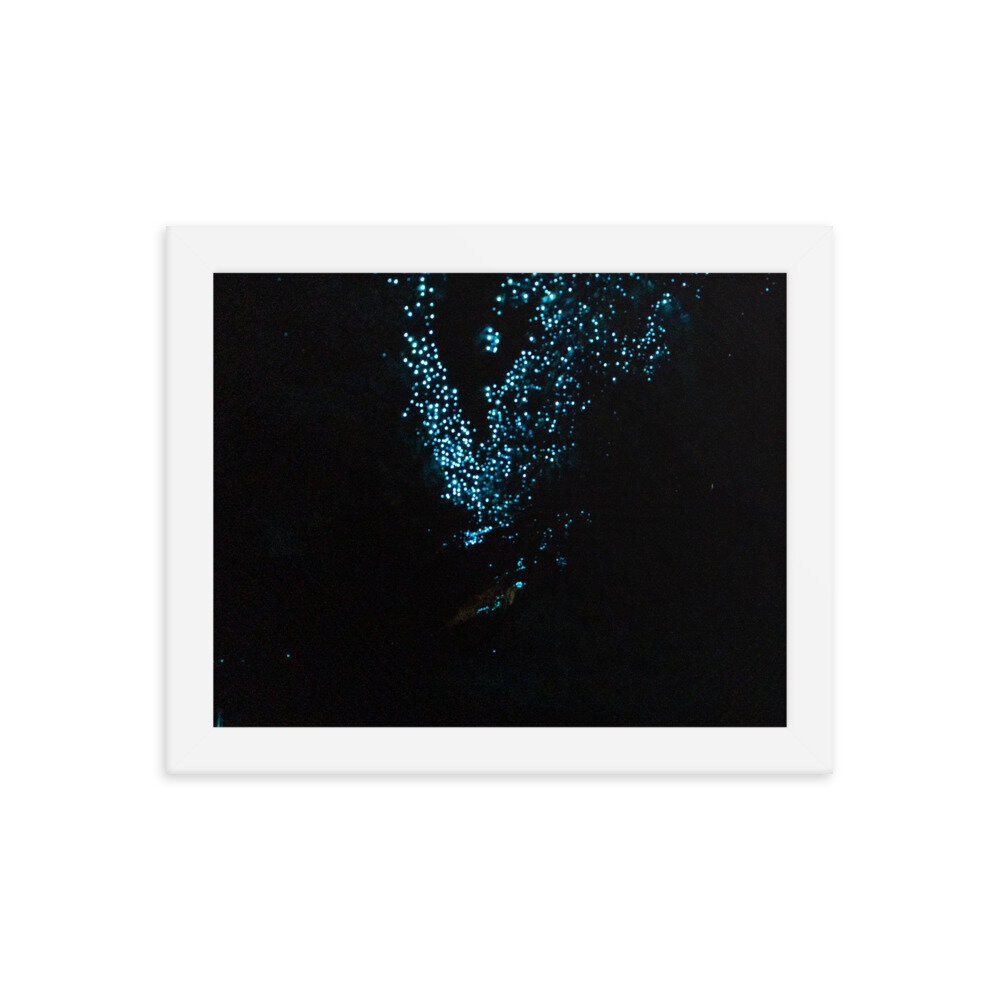 enhanced-matte-paper-framed-poster-(in)-white-8x10-transparent-60ebe294c4ed2.jpg