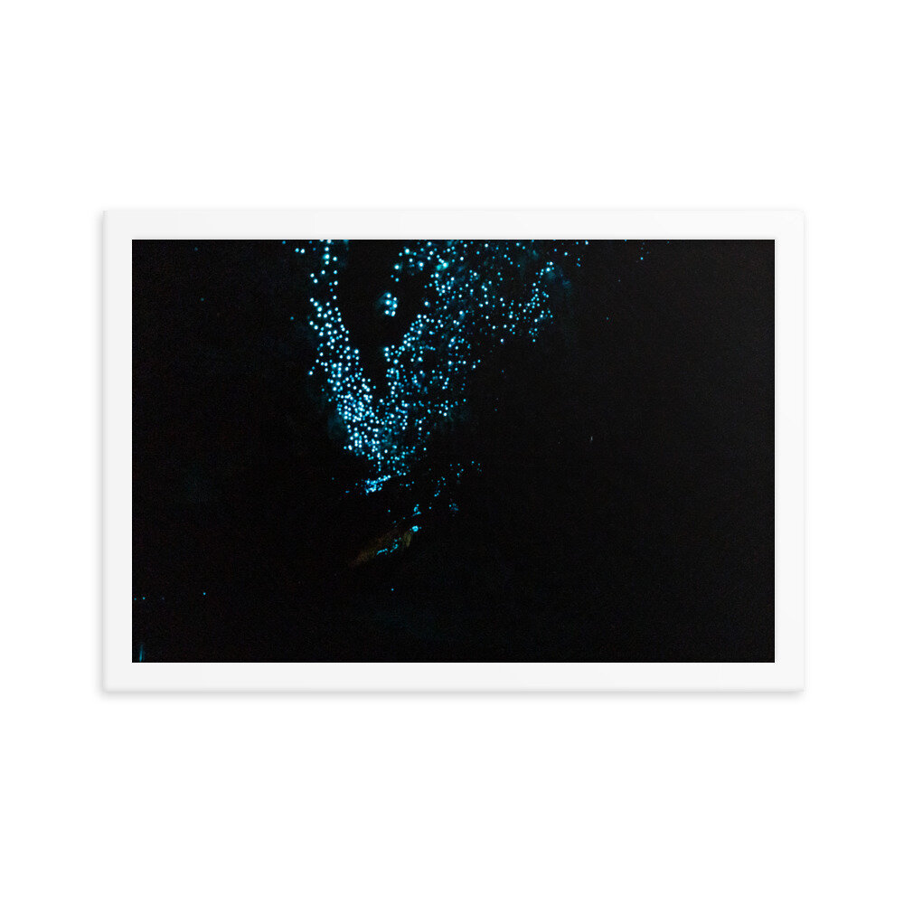 enhanced-matte-paper-framed-poster-(in)-white-12x18-transparent-60ebe294c5057.jpg