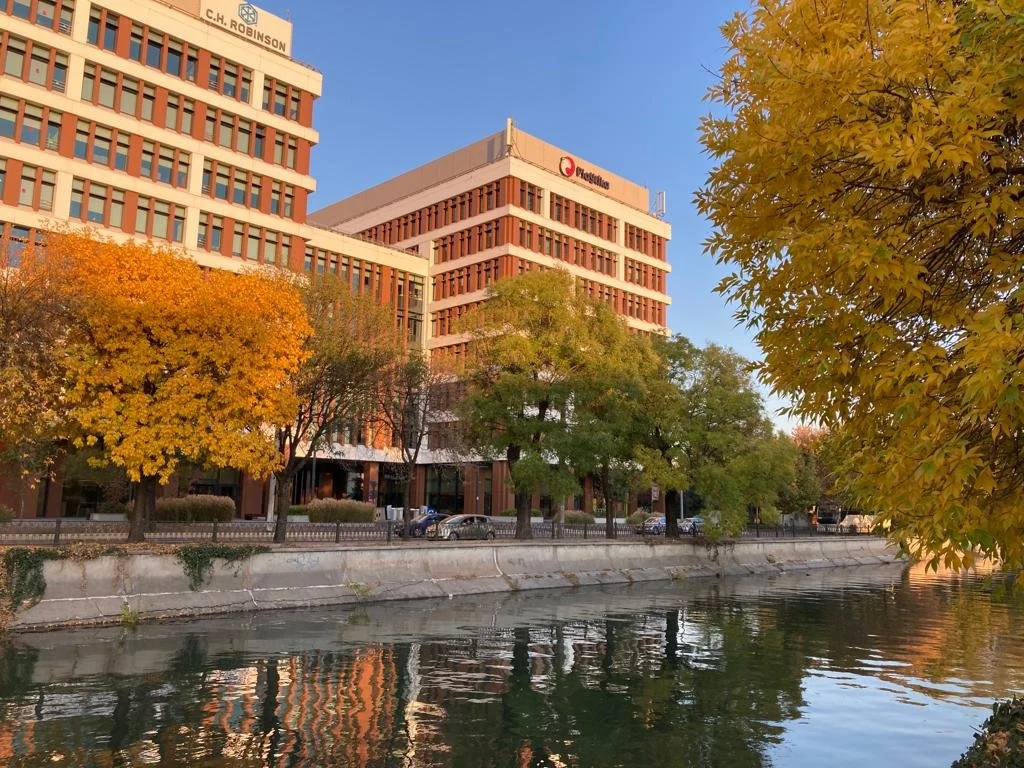 [32] Autumn in Bucharest - סתיו בבוקרשט