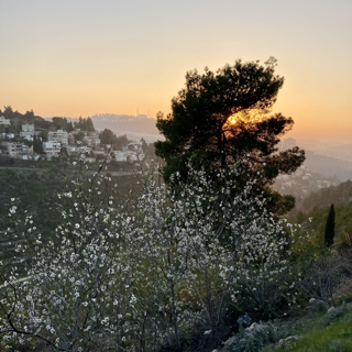 [33] Tu BiShevat - ט״ו בשבט