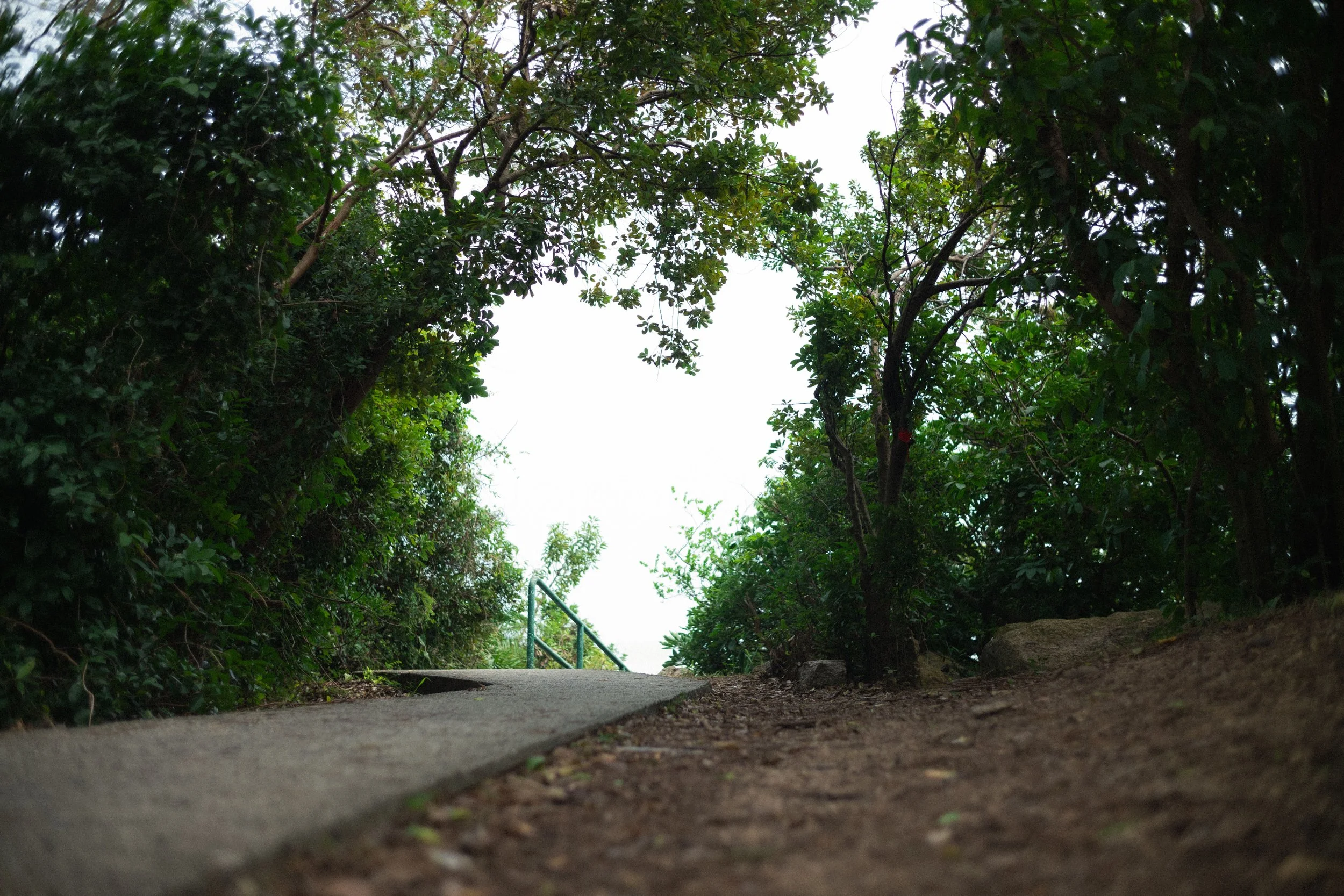 L1000582.jpg