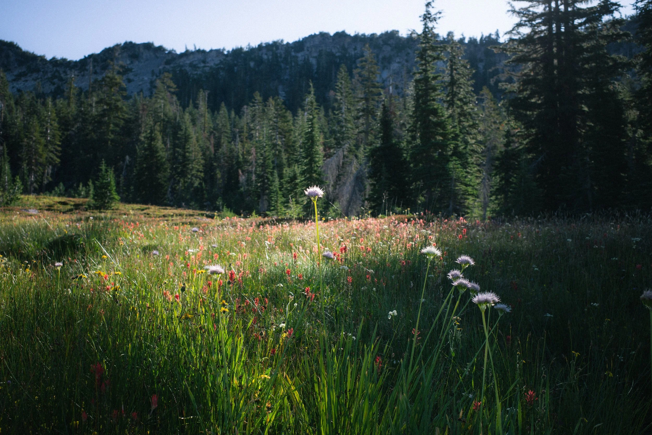 R0005930.jpg