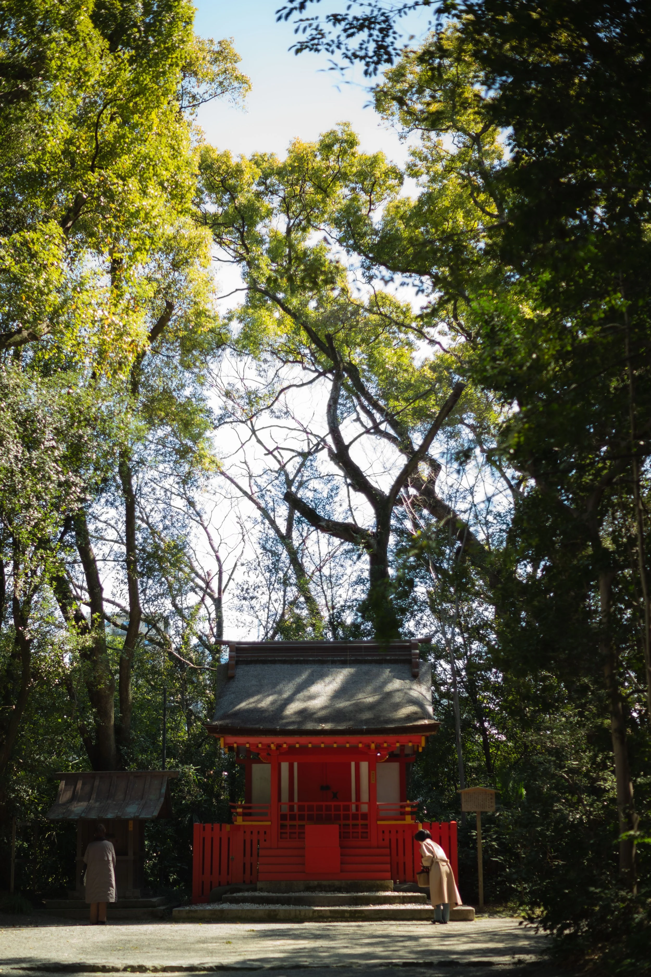 L1000919.jpg