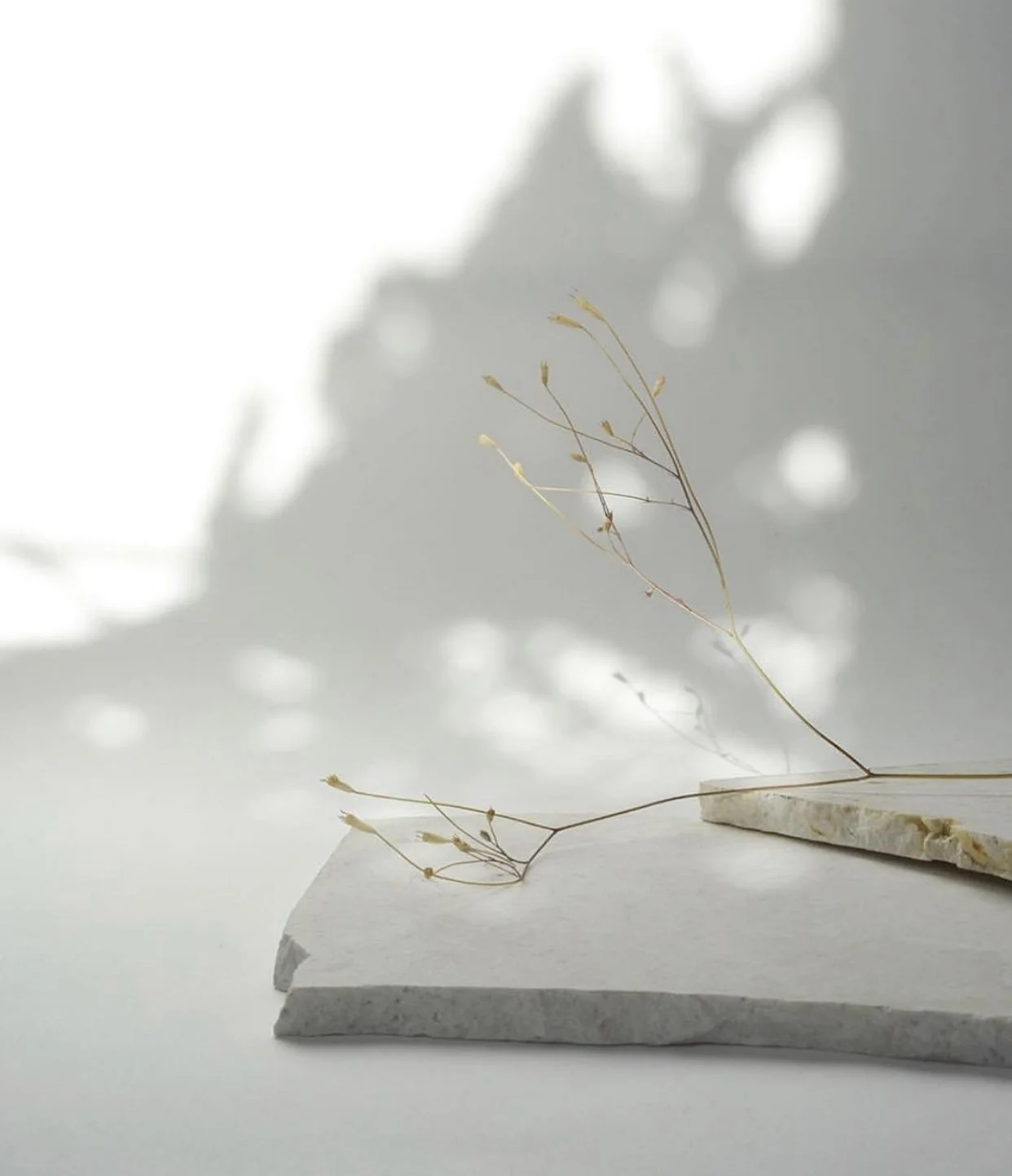 Ayurveda for the Modern Day with Sonja Shah-Williams