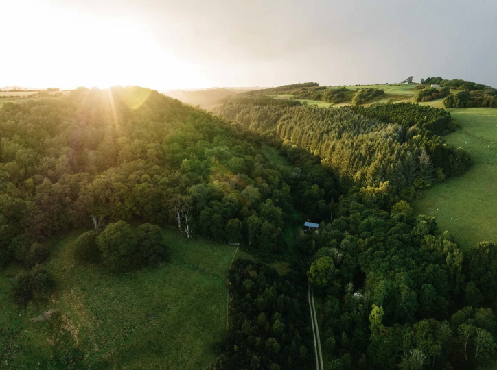 The Lazy T - Season Studios North Yorkshire