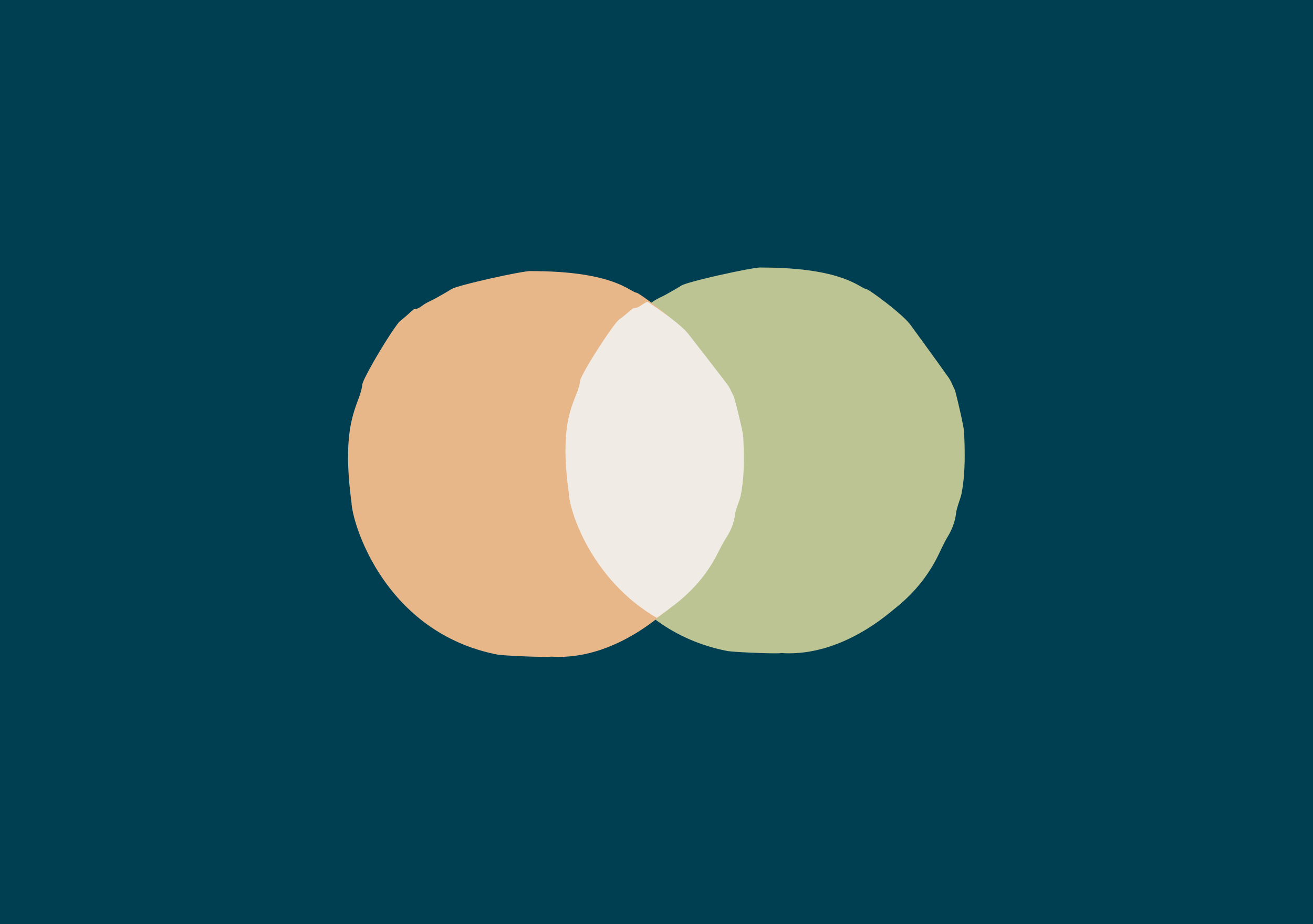 Harkness Therapy <span>· BRANDING & WEB DESIGN ·</span>