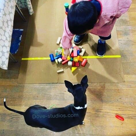 Under supervision
.
.
.
.
.
#supervised #artclass #lockdown #iggy #iggylife