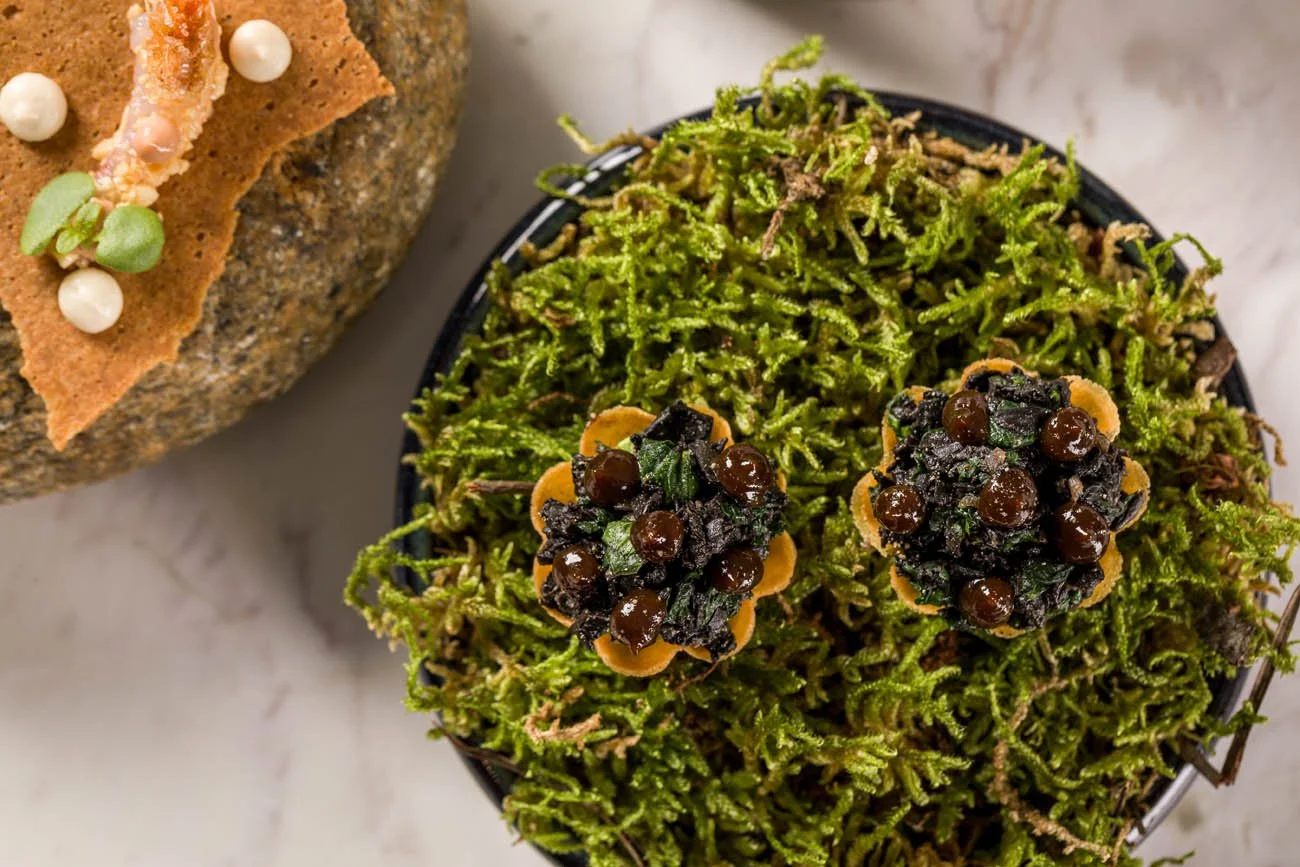 Doces tradicionais brasileiros decorados com sorvete de chocolate, folhas de hortelã e bolinhas de tapioca, servidos sobre uma folhagem verde.