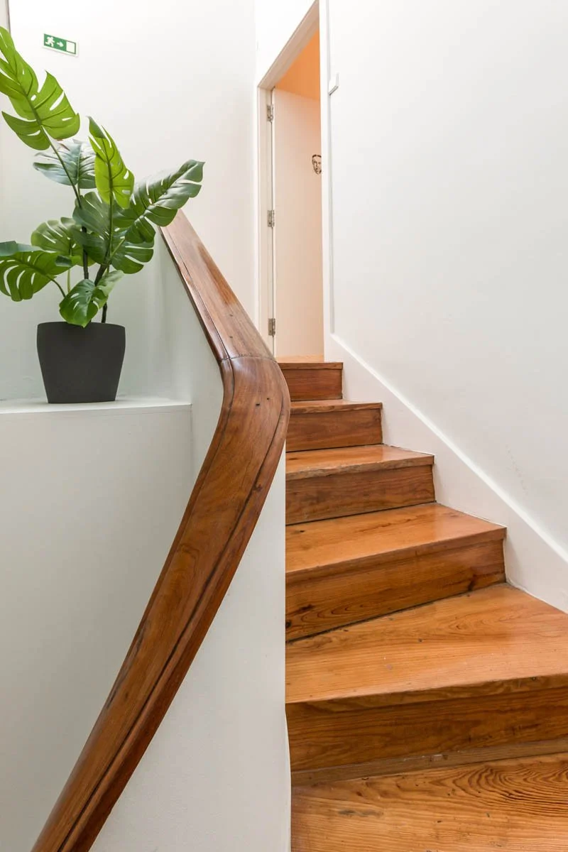 Escada de madeira com corrimão de madeira, parede branca ao lado, uma planta verde em vaso preto na parte superior, e uma porta levemente aberta ao fundo com uma moldura branca.
