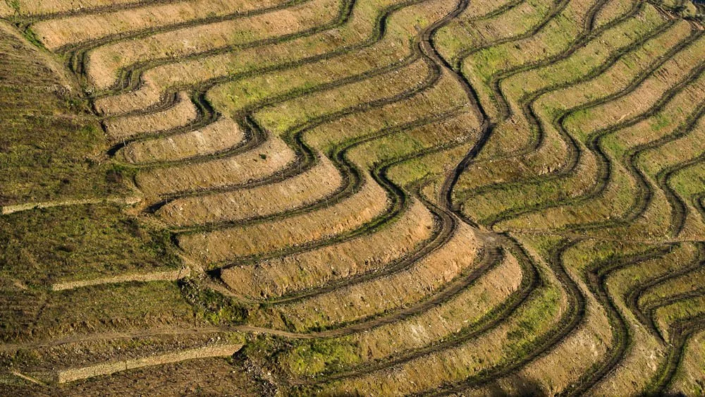 Pirâmides de terra formadas por plantações em degradê de cores verdes e marrons, com caminhos estreitos entre elas, em área agrícola montanhosa.