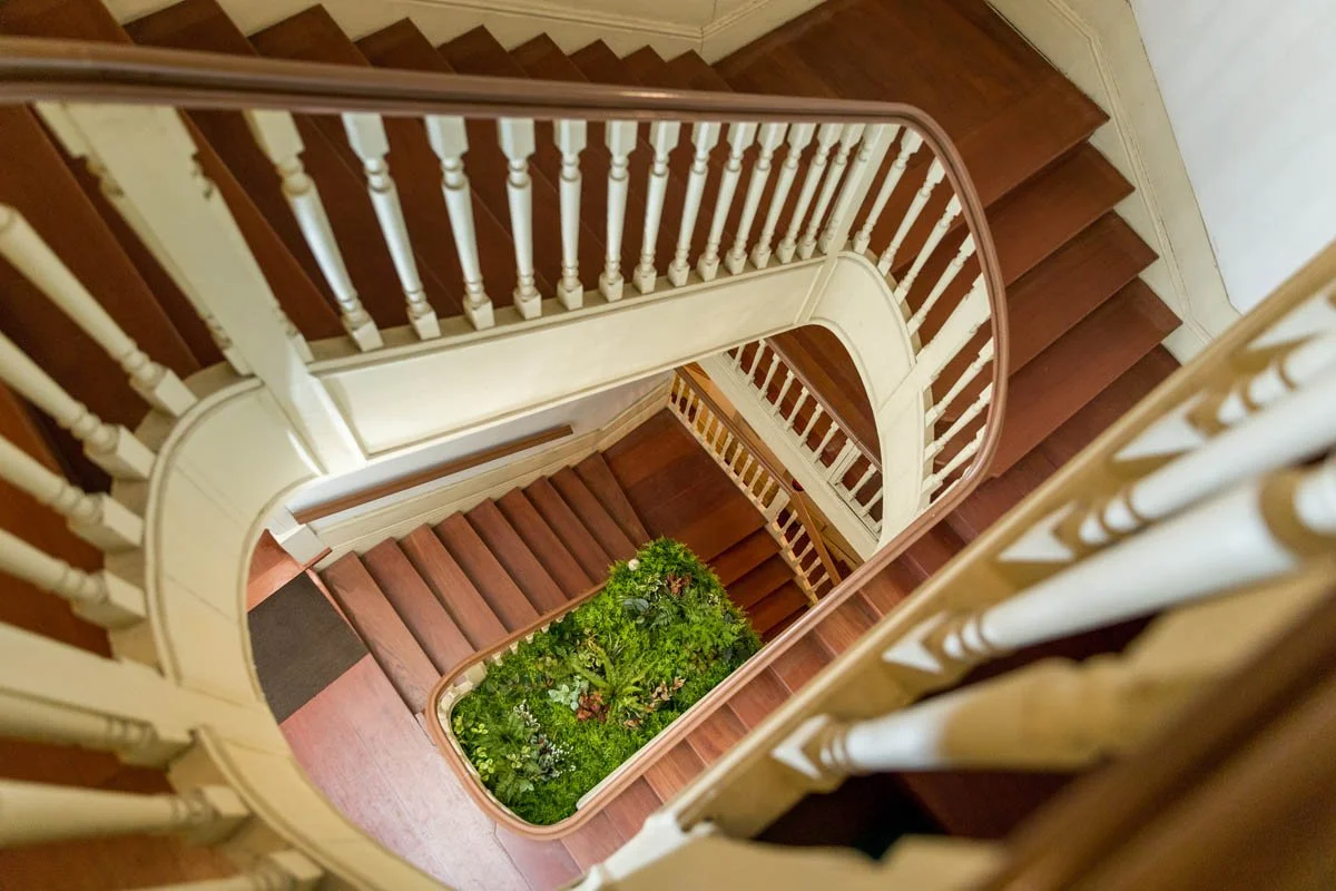 Escada em espiral de madeira vista de cima, com uma planta no centro no andar inferior.