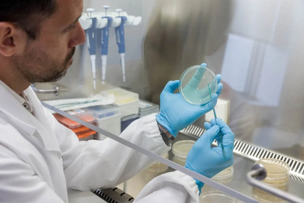 Pesquisador de jaleco branco e luvas azuis em laboratório, manuseando uma placa de Petri com uma espátula.