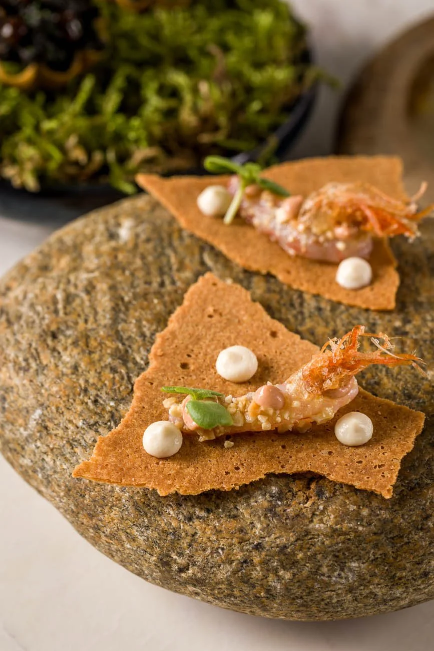 Tartar de carne com camarão em chips de tortilha, decorado com molhos brancos e brotos, em uma pedra decorativa.