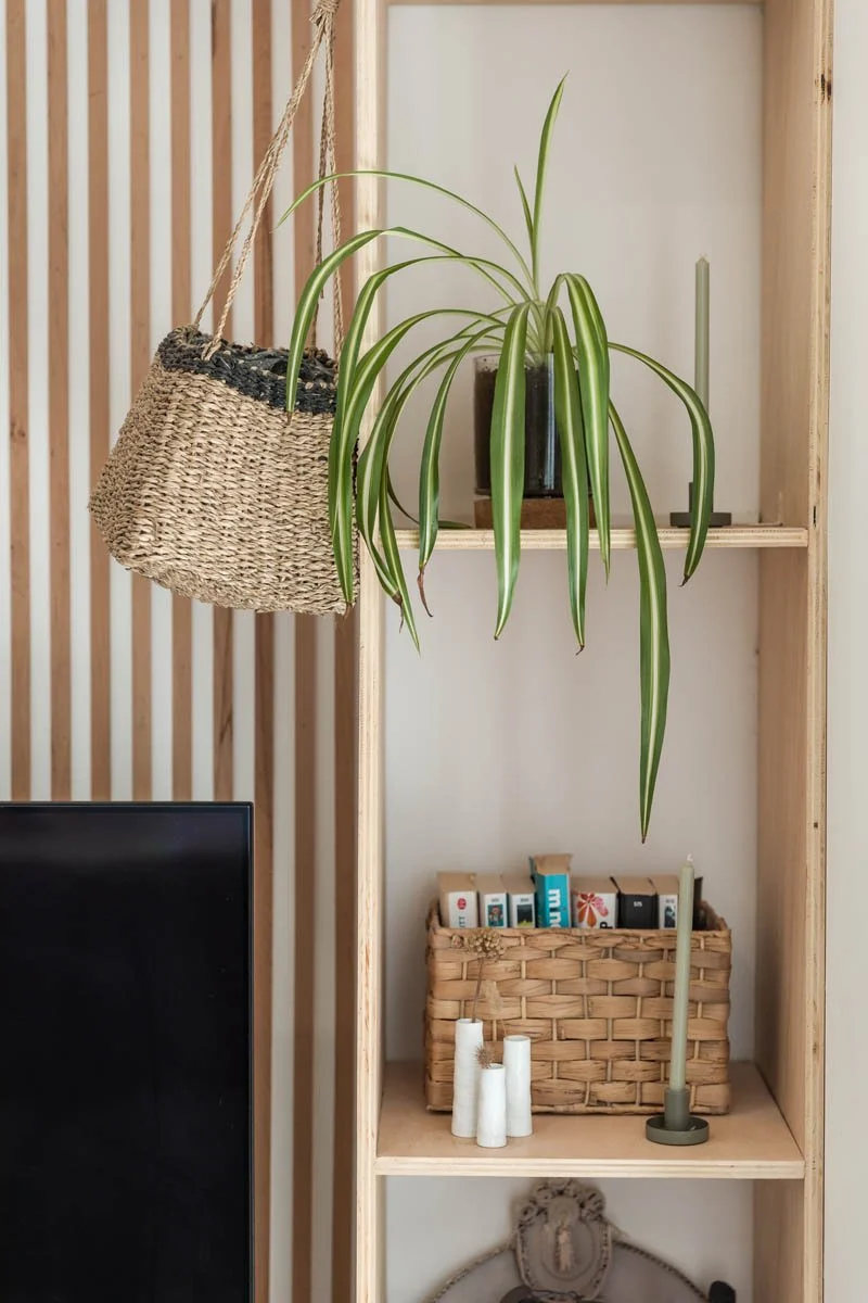 Estante de madeira com duas prateleiras, decorada com plantas, velas, um leque de palha, livros e um suporte de vela