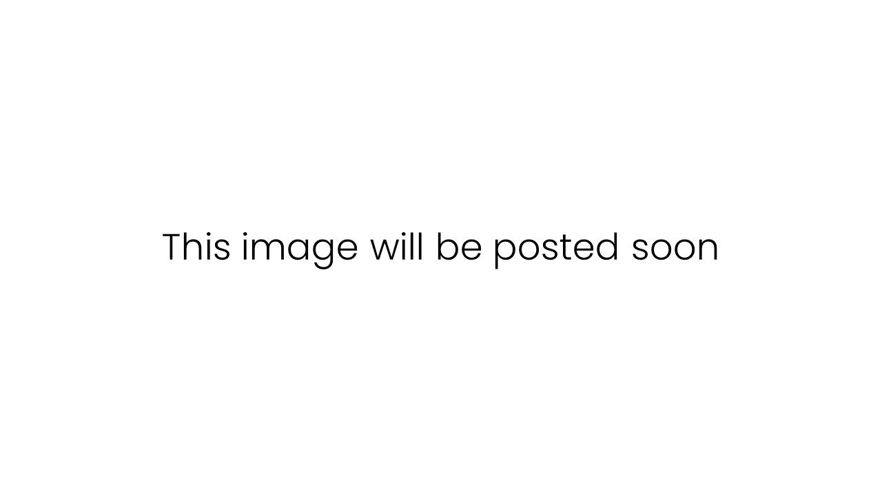 This image will be posted soon.png