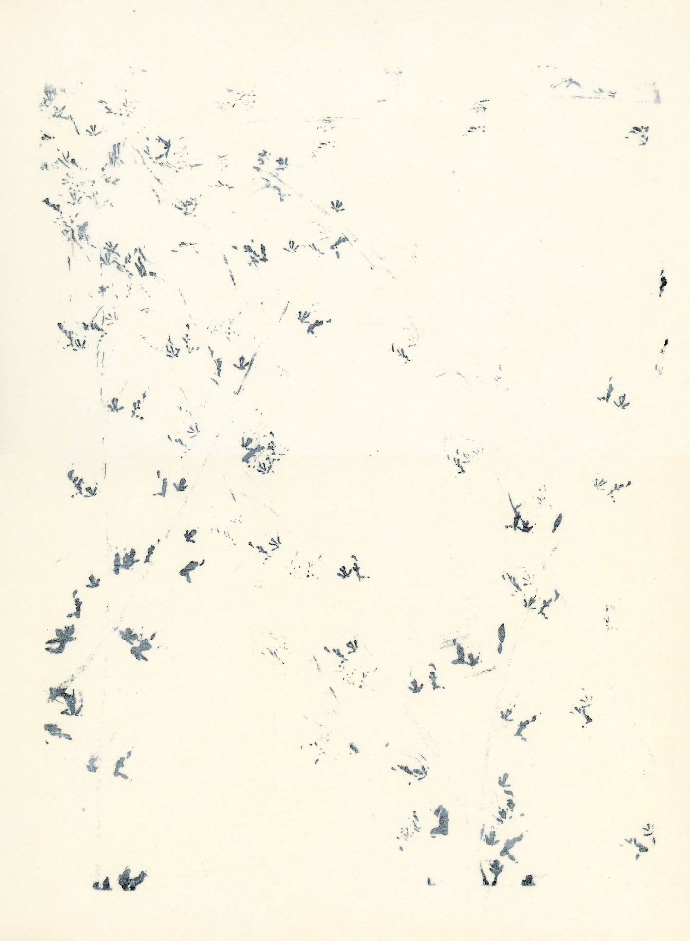 José Maria Sicilia. Canto XCII, Picaron Editions, 1996
