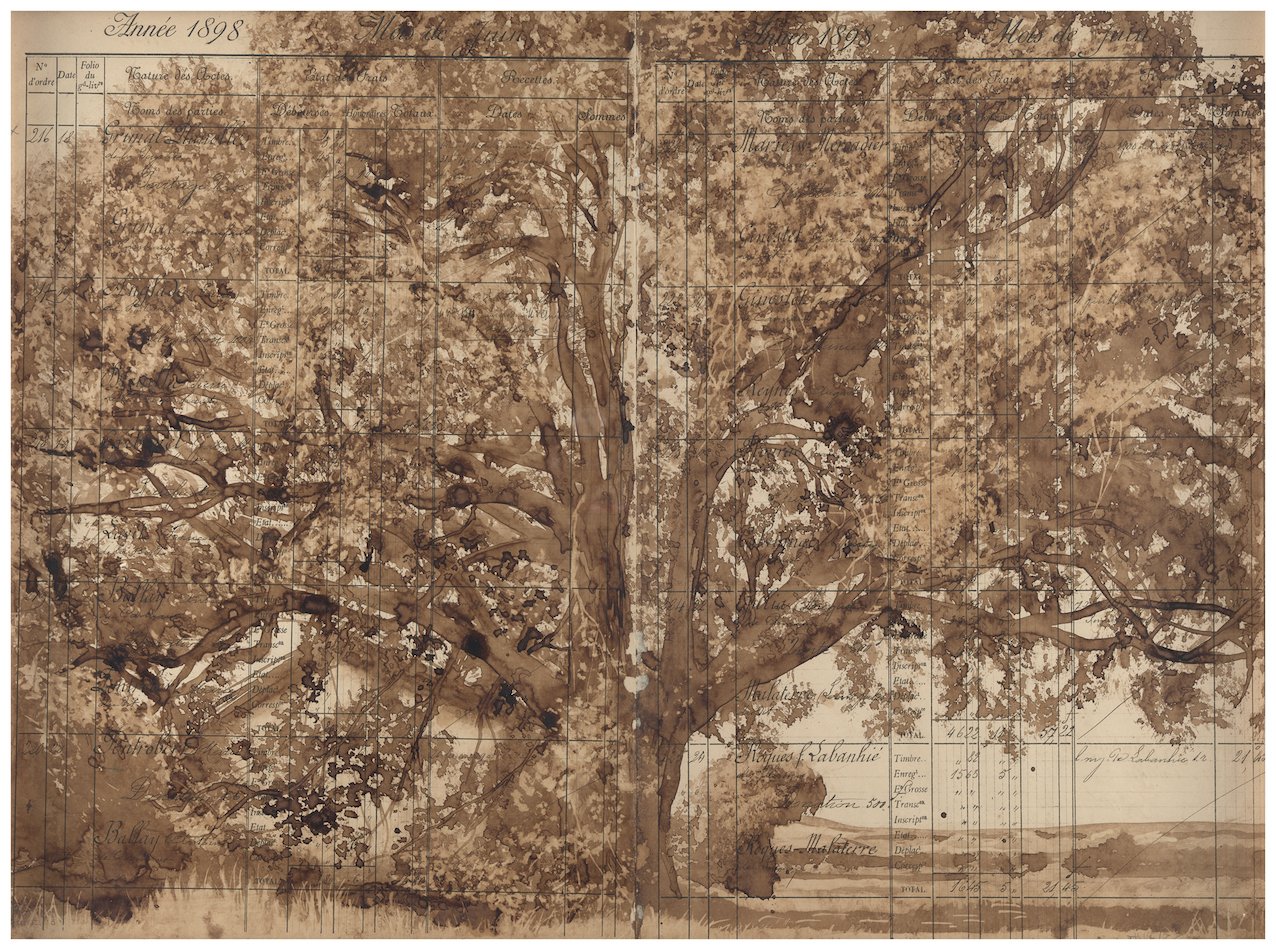 Jean-Luc Favéro. Le grand chêne de Parisot, 2020-2024. Ingert