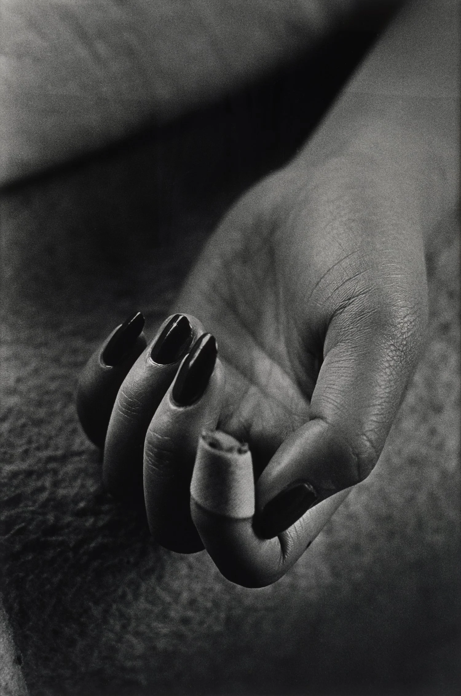 Daido Moriyama. Nail, Claw, Setagaya-ku, Tokyo, 1986 (DM08)