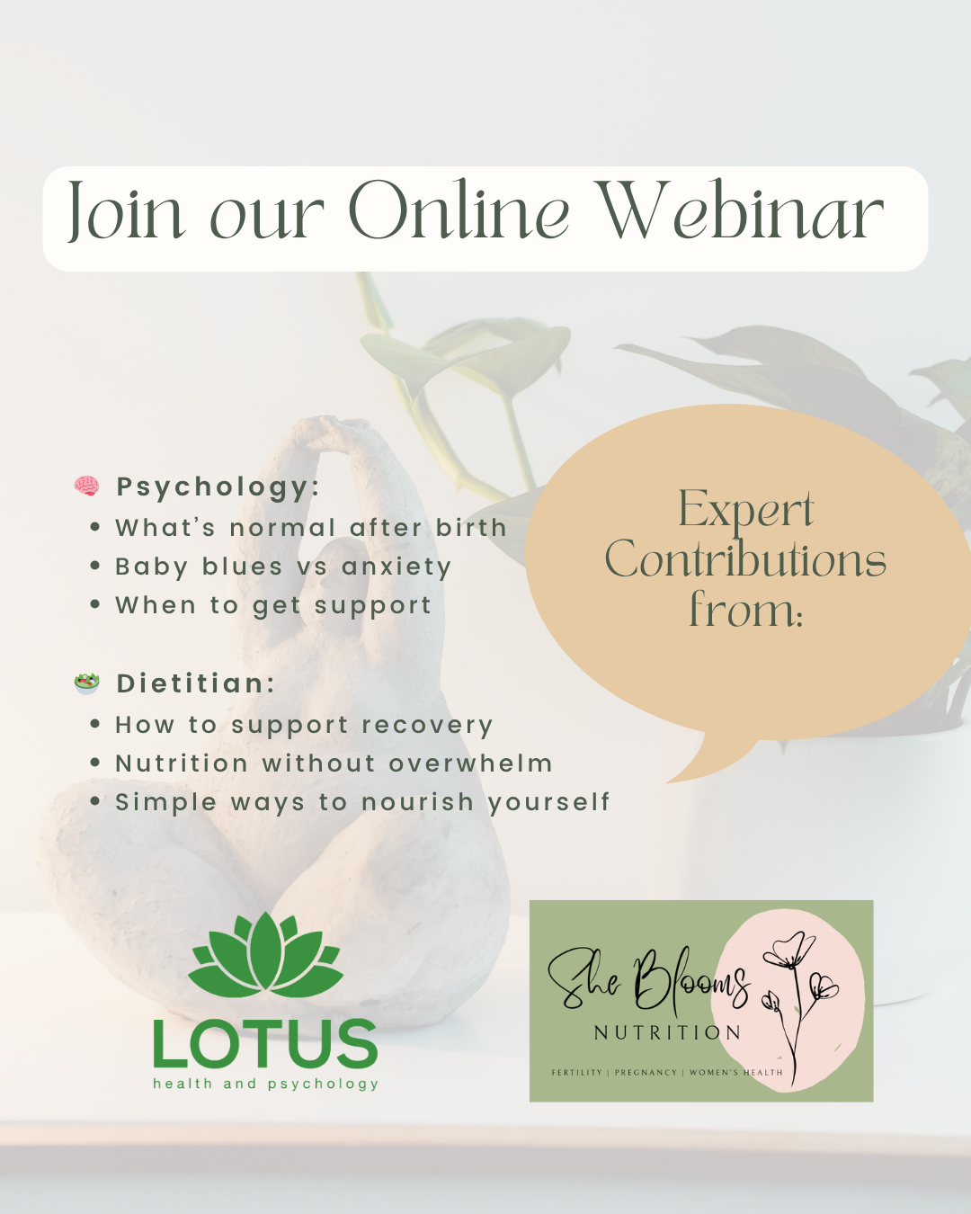 Pelvic Health Webinar Psychology and Nutrition Pregnancy and Post-birth