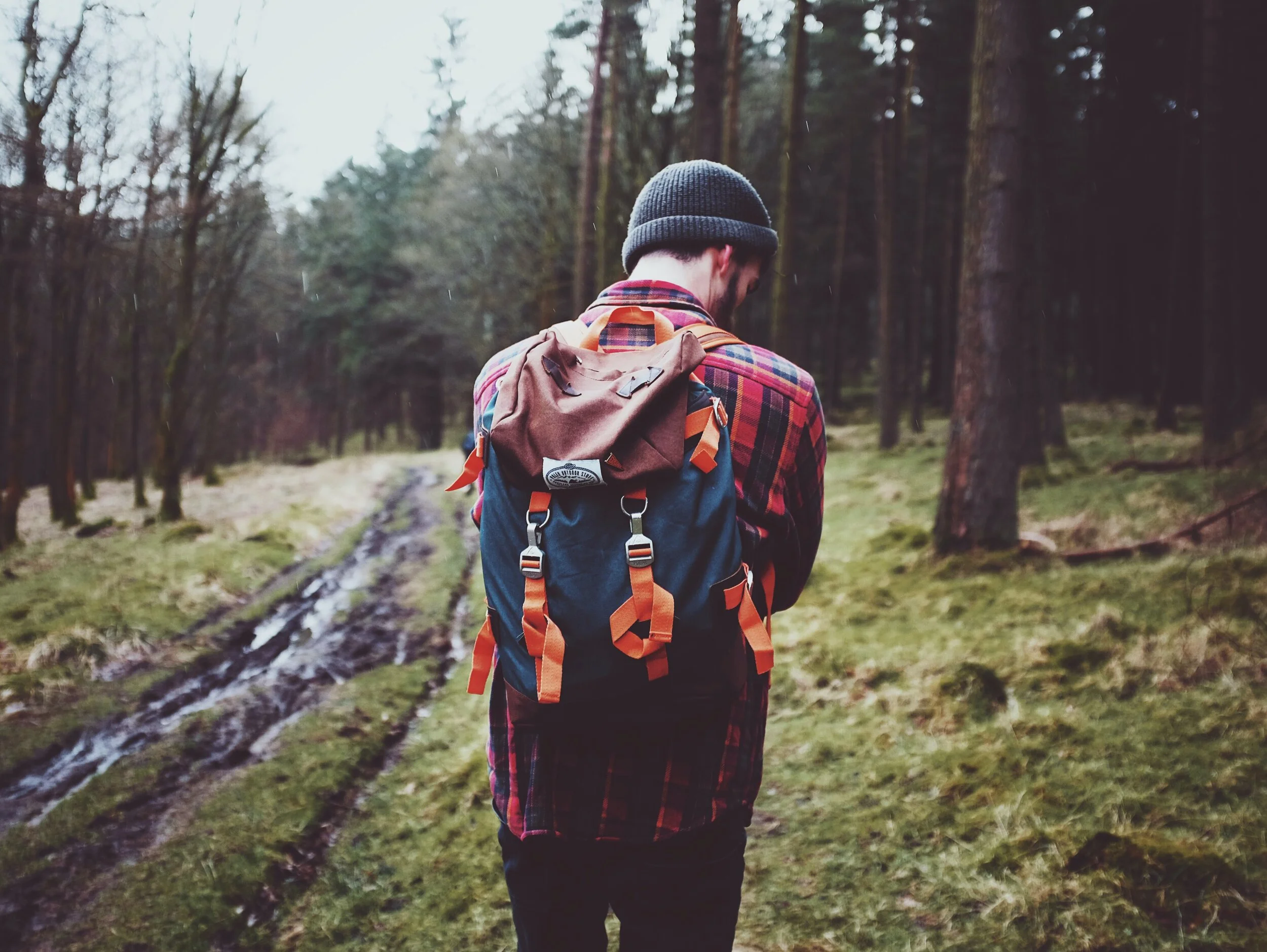 Man walking in woods