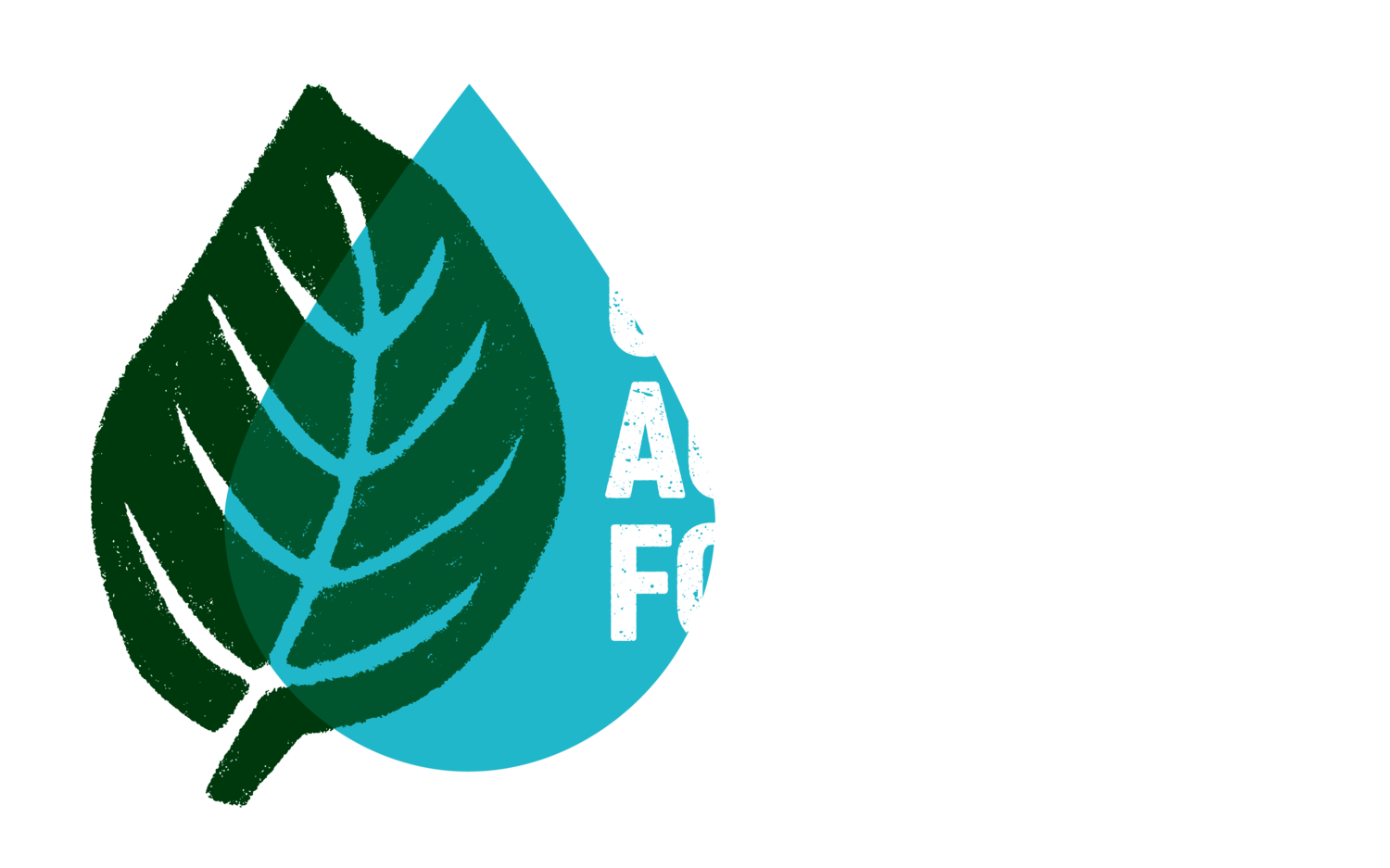 Community Action for Water