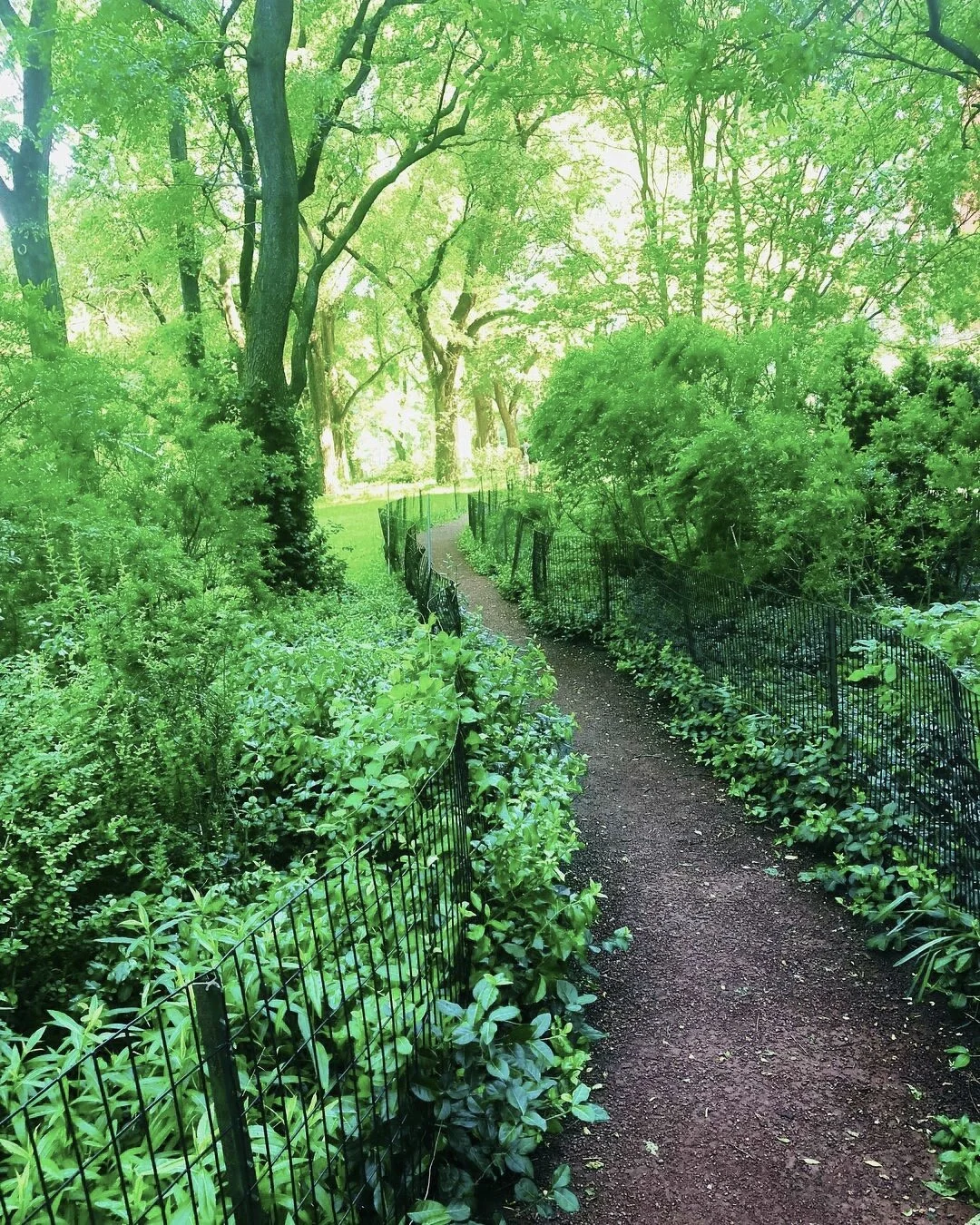 The Path to Resolution 