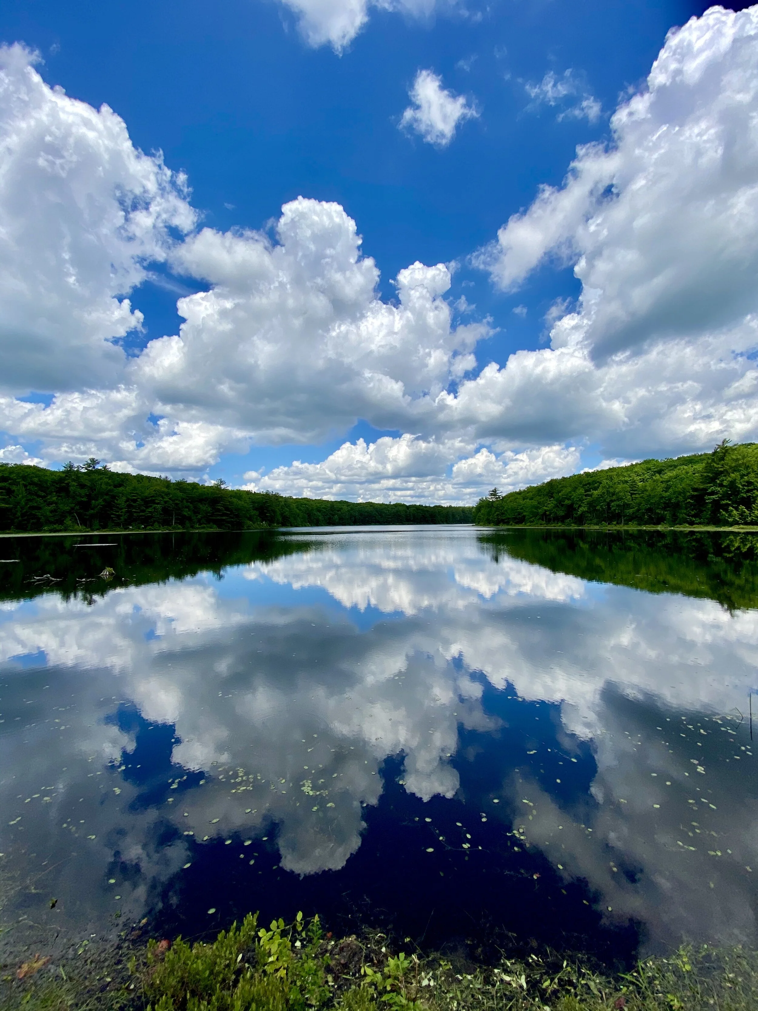 Reflect Speak Listen Repeat 